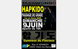 PASSAGE DAN HAPKIDO NANCY 09/06/2024